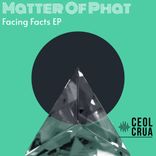 Artwork for "Facing Facts EP"