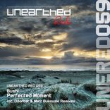 Portada para "Perfected Moment"