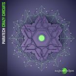 Artwork for "Crazy Circuits"