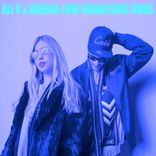 Artwork for "Low Vibrations Remixes"