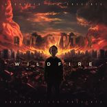 Artwork voor "Wildfire"