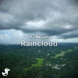 Artwork voor "Raincloud"