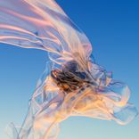 Artwork for "Nocturne"