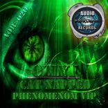 Portada para "Catnapped / Phenomenon V.I.P"