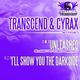 Artwork for "Unleashed (Substanced Remix) / I'll Show You The Darkside"