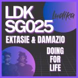 Artwork for "Doing for Life"