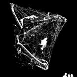 Artwork for "Flashlight"