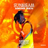 Portada para "Sunbeam"