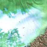 Artwork voor "Jurassimo"