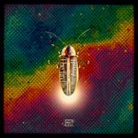 Artwork voor "The Fireflies"