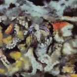 Artwork voor "Missing"