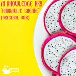 Artwork for "Hydraulic Shears"