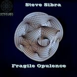 Portada para "Fragile Opulence"