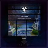 Artwork for "Through the Darkness"