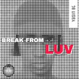 Artwork für "Break From Luv"