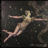 Artwork voor "Nachtschwaermer (Remix Edition)"