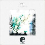 Portada para "Immerse"