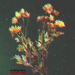 Portada para "Endless Love EP"