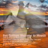 Artwork voor "Welcome To Hawaii"