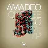 Artwork for "Choose To Leave"