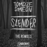 Portada para "Slender (The Remixes)"