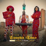 Artwork for "Zizojika Izinto"