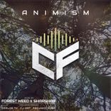 Artwork für "Animism"