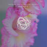 Artwork voor "Apocalypse"