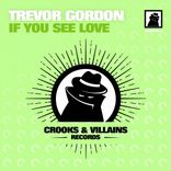 Artwork für "If You See Love"