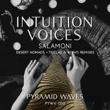 Artwork for "Intuition Voices"