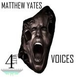 Artwork for "Voices"