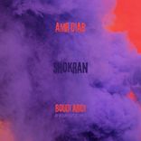 Artwork voor "Amr Diab Shokran"