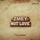 Artwork for "Not Love"