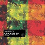 Artwork für "Crickets EP"
