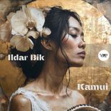 Artwork für "Kamui"