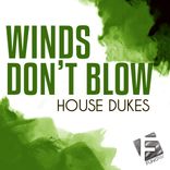 Artwork voor "Winds Don't Blow (Bass Sky Remix)"