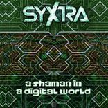 Artwork for "A Shaman in a Digital World"