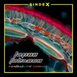 Artwork for "Synthesized Society"