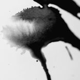 Portada para "Presença EP"