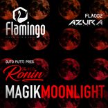 Artwork voor "Magik Moonlight"