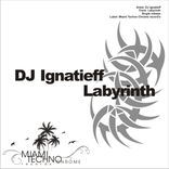 Artwork for "Labyrinth"
