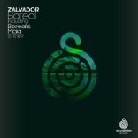 Portada para "Boreal"