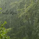 Artwork voor "Solid Rain"