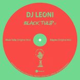 Artwork for "Black Tulip"