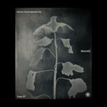 Artwork for "Almas Convergentes"