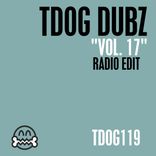 Artwork voor "Dubz, Vol. 17 (Radio Edit)"
