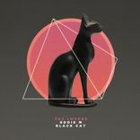 Artwork for "Black Cat"