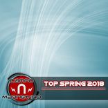 Artwork for "Top Spring 2018"