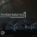 Artwork for "Ambientalismics 1"