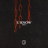 Artwork voor "U Know"